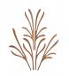 Preview: Alessi "The Five Seasons" Ersatz-Diffusorblatt aus Mahagoni "Grrr"