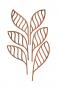Preview: Alessi "The Five Seasons" Ersatz-Diffusorblatt aus Mahagoni "Shhh"