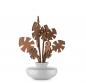 Preview: Alessi "The Five Seasons" Duft- Blattdiffusor "Hmm"