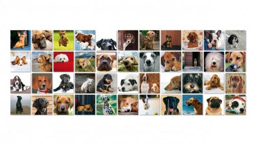 Remember Memory "Dogs"