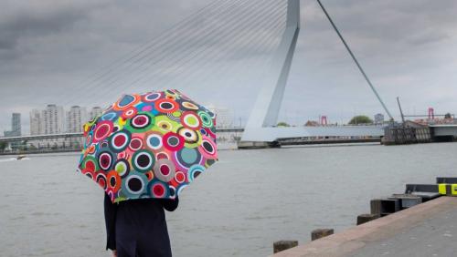 Remember Taschen - Regenschirm „Rondo“